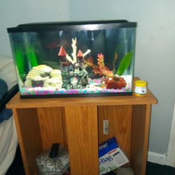 10 gallon freshwater aquarium - Picture 1 of 5
